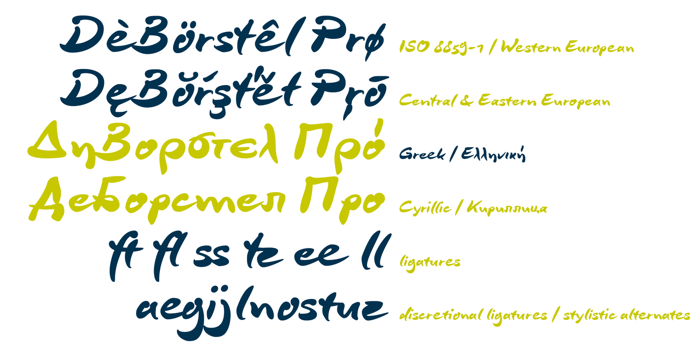 DeBorstel Brush Pro